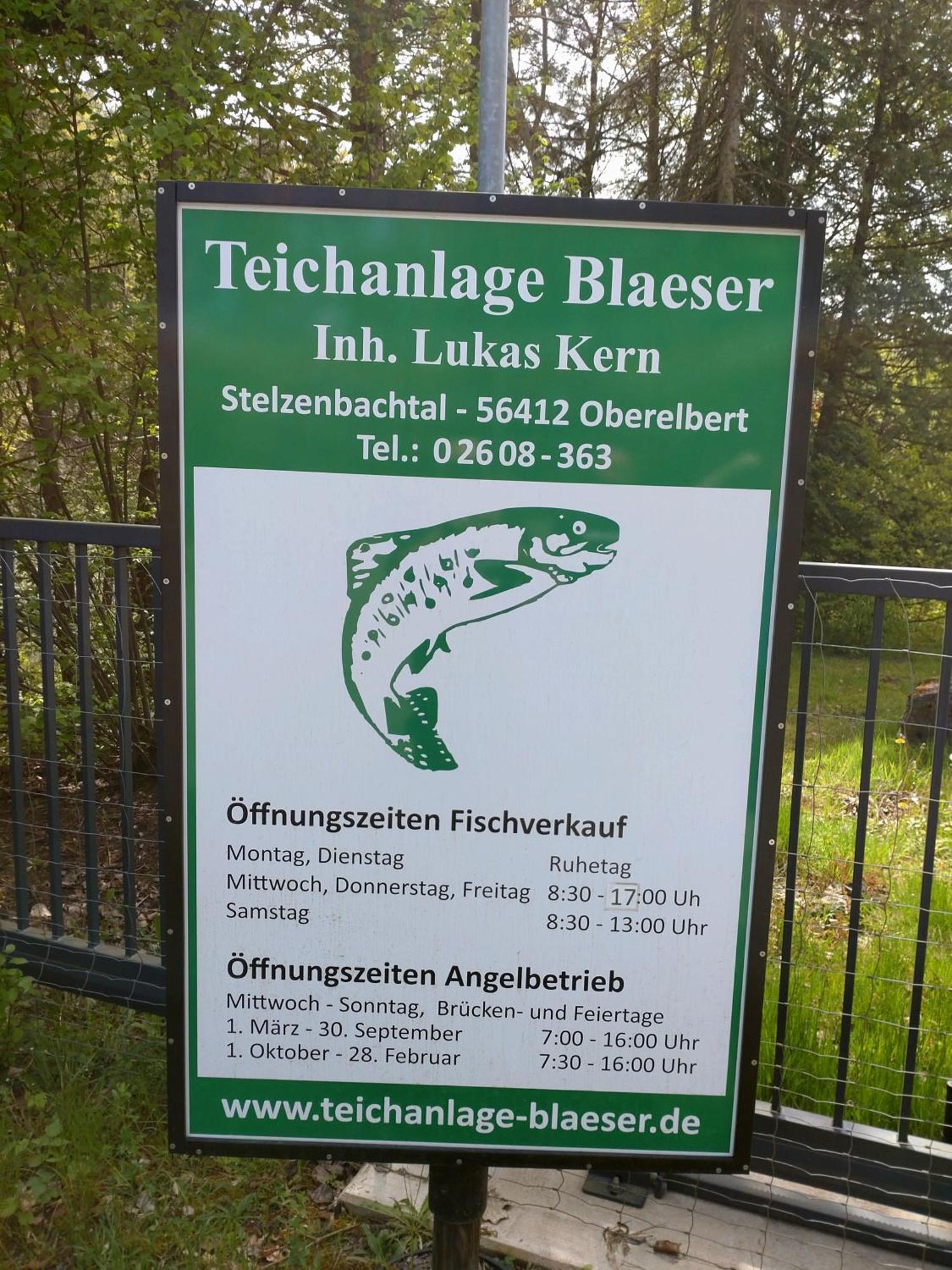 Gaestezimmer M. Schubert Oberelbert Exteriör bild