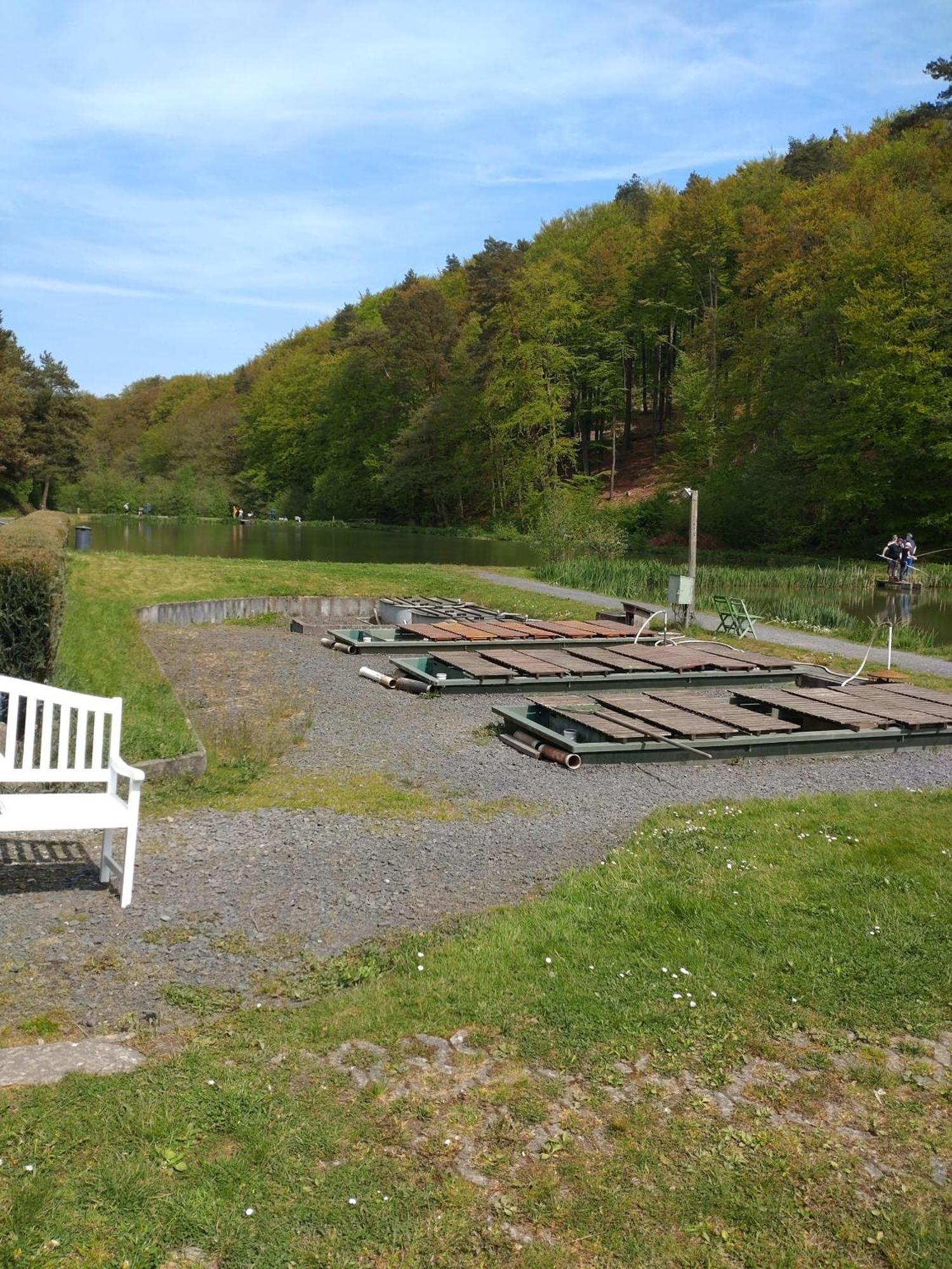 Gaestezimmer M. Schubert Oberelbert Exteriör bild